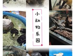 -顺德南宏海立方海洋公园
