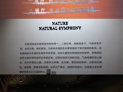 -四川大学博物馆