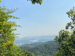 -阳台山森林公园