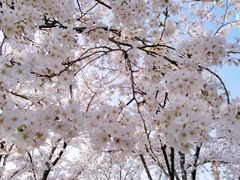 -龙美术馆(西岸馆)