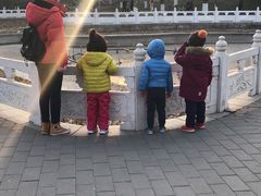 -丰台花园