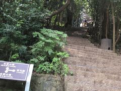 -紫金山山顶公园