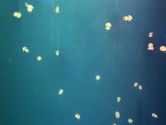 -临沂极地海洋王国