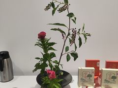 -今日陶艺(富力广场店)