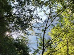 -青峰峡国家森林公园