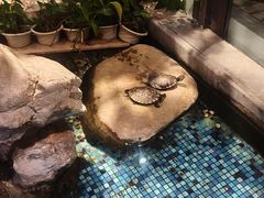-金指缘足浴(望园路旗舰店)