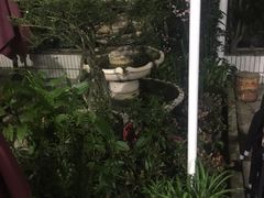 -深圳市大鹏新区华记山海农庄餐厅