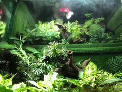 -上海海洋水族馆