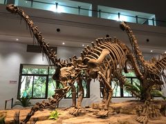 -自贡恐龙博物馆
