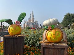 -上海迪士尼度假区