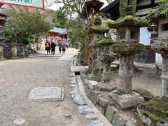 -奈良公园