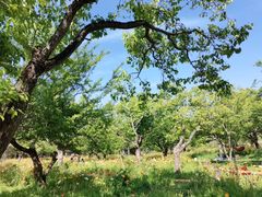 -名花谷生态庄园