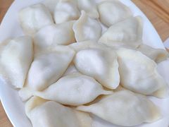 -菊花女水饺(闻涛苑店)