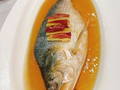 -老洋房花园饭店(绍兴路店)