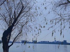 -艾溪湖湿地公园