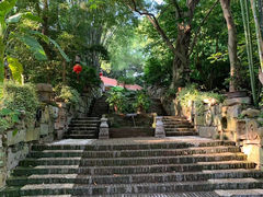 -老木棉·匠园