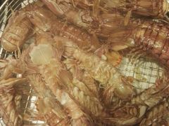 -海味当家(西安路店)