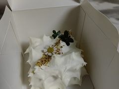 -双风车咖啡馆 Twin Windmills(六道口店)