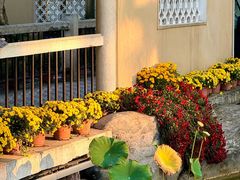 -鹅岭公园瞰胜楼