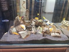 -宠物世家(仲盛世界商城店)