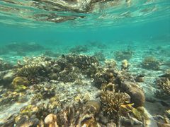 -卡帕莱度假村(西巴丹岛)