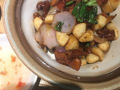 金不换三杯鸡-潮粥荟·潮汕砂锅粥(朝阳大悦城店)