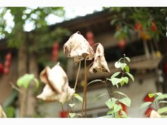 -行人小筑·茶馆(岑村火炉山分店)