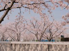 -龙美术馆(西岸馆)