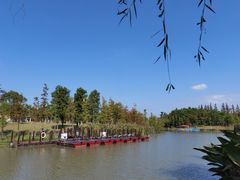 -上海长兴岛郊野公园