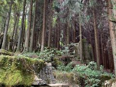 -山王坪喀斯特国家生态公园