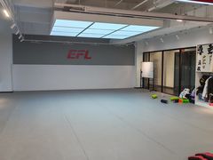 -EFL巴西柔术·综合格斗·泰拳·少儿体能训练(虹桥德必馆)