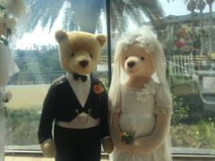 -济州岛泰迪熊博物馆