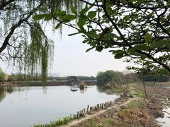-荷塘月色湿地公园·向阳花洲