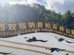 -西双版纳原始森林公园