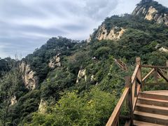 -大岭沟猕猴桃谷风景区