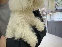 -天宠宠物医院24小时·急重症诊疗中心·全科·腔镜特色(和平分院)