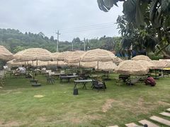 -桃源山庄·水蜜桃采摘·柴火鸡·烧烤团建(龙泉山店)