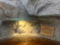 -爱江山温泉(凌奥店)