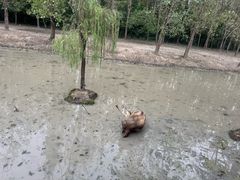 -溱湖国家湿地公园