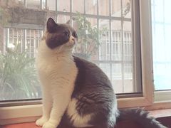 -万小咖.猫咖(中山路天虹店)