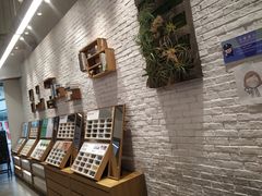 -JINS(天津大悦城店)
