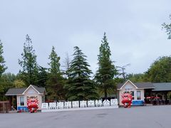 -日照海滨国家森林公园