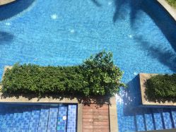 -三亚海棠湾万达嘉华度假酒店·宴会厅