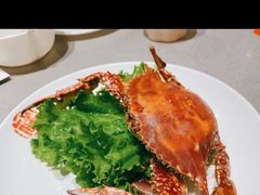 -大锅强·蒸海鲜青岛菜(城市阳台店)