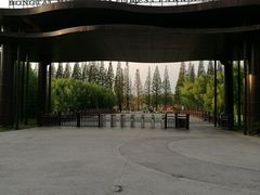 -黄海国家森林公园