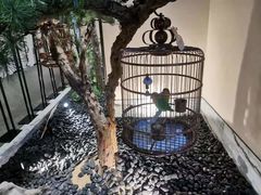 -小厨娘淮扬菜(六合欢乐港店)