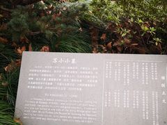 -杭州西湖风景名胜区-钱塘苏小小之墓