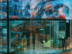 -金翠皇宫粤菜·点心·海鲜(科技园店)