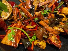 -食乐佳麻辣香锅(森林摩尔商业街区店)