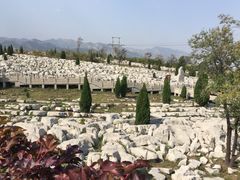 -原山国家森林公园